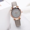 New foreign trade starry sky silver powder dial ladies' matte leather strap quartz watch one-piece consignment wholesale Specification image
